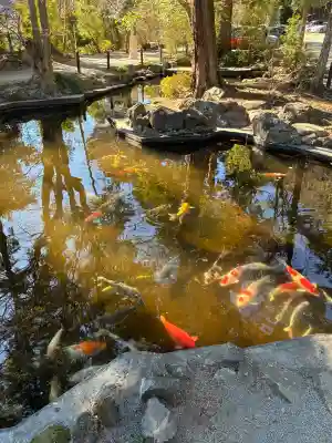 伊豆山神社の{uncategorized: "未分類", other: "その他", undefined: "問題あり", building: "その他建物", grave: "お墓", sacred_gate: "鳥居", guardian: "狛犬", statue: "像", buddha: "仏像", history: "歴史", nature: "自然", garden: "庭園", animal: "動物", pagoda: "塔", temizu: "手水舎", mountain_gate: "山門・神門", sanctuary: "本殿・本堂", subordinate: "末社・摂社", art: "芸術", scenery: "景色", jizo: "地蔵", ema: "絵馬", goshuin: "御朱印", omikuji: "おみくじ", items: "授与品その他", amulet: "お守り", goshuincho: "御朱印帳", eats: "食事", festival: "お祭り", votive_dance: "神楽", shichigosan: "七五三参", wedding: "結婚式", experience: "体験その他", initially: "初詣", around: "周辺", anti_infection: "感染症対策"}