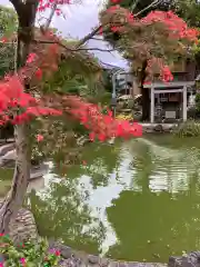 神館神社の庭園