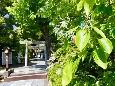 伊奴神社のその他建物