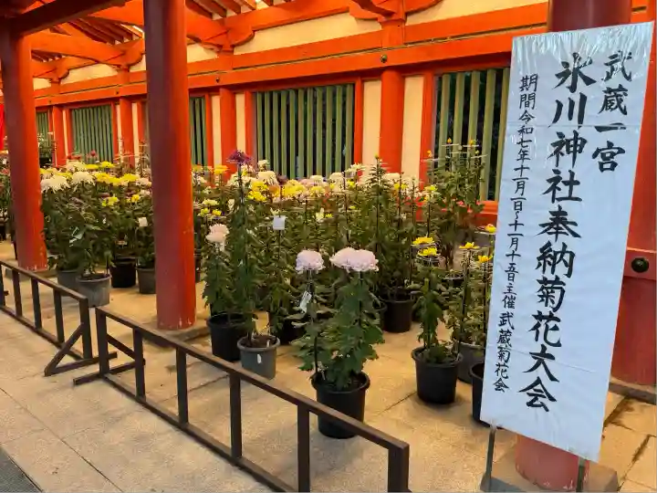 武蔵一宮氷川神社(埼玉県)