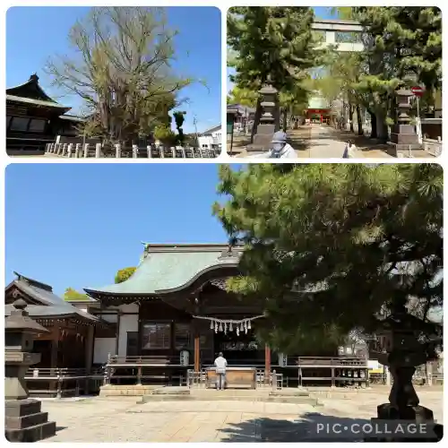 葛飾八幡宮の{uncategorized: "未分類", other: "その他", undefined: "問題あり", building: "その他建物", grave: "お墓", sacred_gate: "鳥居", guardian: "狛犬", statue: "像", buddha: "仏像", history: "歴史", nature: "自然", garden: "庭園", animal: "動物", pagoda: "塔", temizu: "手水舎", mountain_gate: "山門・神門", sanctuary: "本殿・本堂", subordinate: "末社・摂社", art: "芸術", scenery: "景色", jizo: "地蔵", ema: "絵馬", goshuin: "御朱印", omikuji: "おみくじ", items: "授与品その他", amulet: "お守り", goshuincho: "御朱印帳", eats: "食事", festival: "お祭り", votive_dance: "神楽", shichigosan: "七五三参", wedding: "結婚式", experience: "体験その他", initially: "初詣", around: "周辺", anti_infection: "感染症対策"}
