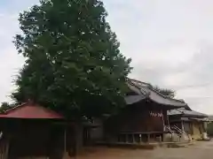 氷川神社(埼玉県)