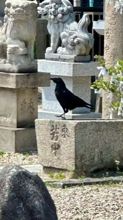 姫嶋神社(大阪府)