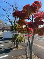 飽波神社の庭園