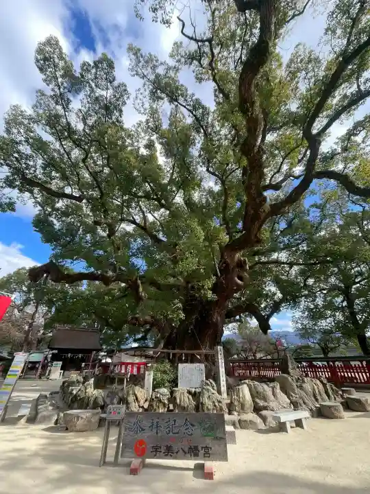 宇美八幡宮の{uncategorized: "未分類", other: "その他", undefined: "問題あり", building: "その他建物", grave: "お墓", sacred_gate: "鳥居", guardian: "狛犬", statue: "像", buddha: "仏像", history: "歴史", nature: "自然", garden: "庭園", animal: "動物", pagoda: "塔", temizu: "手水舎", mountain_gate: "山門・神門", sanctuary: "本殿・本堂", subordinate: "末社・摂社", art: "芸術", scenery: "景色", jizo: "地蔵", ema: "絵馬", goshuin: "御朱印", omikuji: "おみくじ", items: "授与品その他", amulet: "お守り", goshuincho: "御朱印帳", eats: "食事", festival: "お祭り", votive_dance: "神楽", shichigosan: "七五三参", wedding: "結婚式", experience: "体験その他", initially: "初詣", around: "周辺", anti_infection: "感染症対策"}