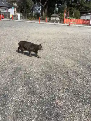 城山八幡宮(愛知県)
