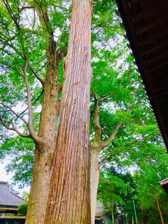 吉沼八幡神社(茨城県)
