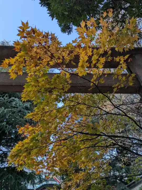 青山熊野神社(東京都)