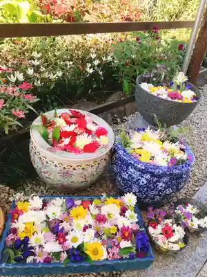 埼玉厄除け開運大師・龍泉寺（切り絵御朱印発祥の寺）(埼玉県)
