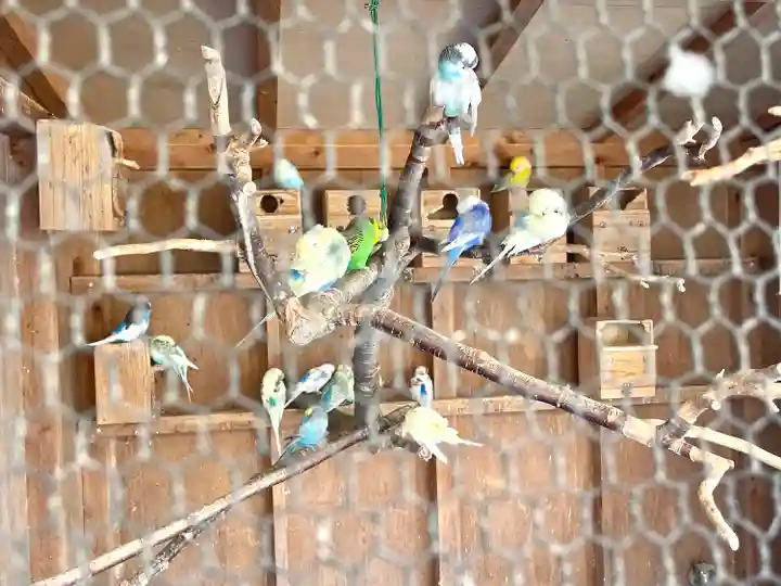 尾張猿田彦神社の動物