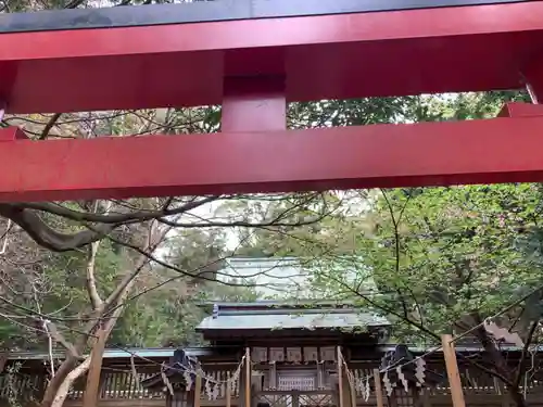 伊古奈比咩命神社のその他建物