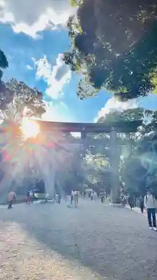 明治神宮(東京都)