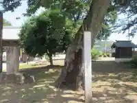 下野薬師寺 (旧 安國寺)(栃木県)