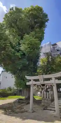 山王権現神社(大阪府)