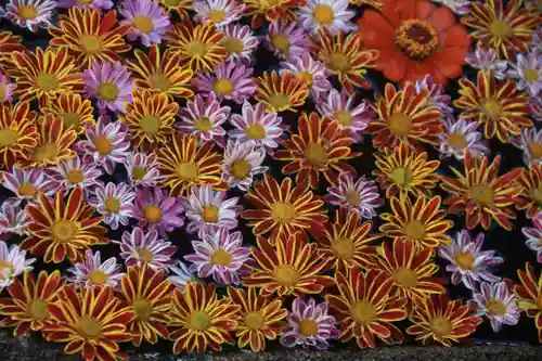 大鏑神社の手水舎