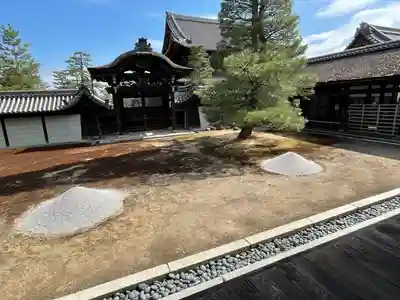 妙心寺（妙心禅寺）(京都府)