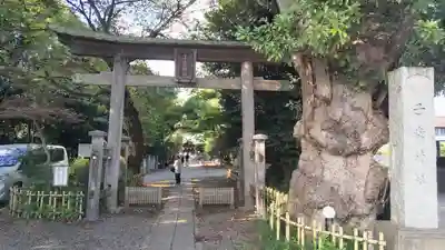 畑子安神社(千葉県)