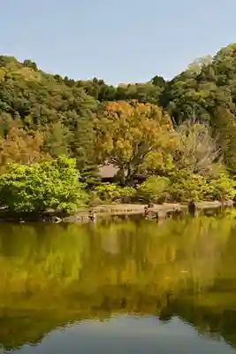 白水阿弥陀堂の庭園