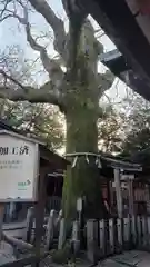 武信稲荷神社(京都府)