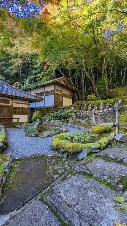 古知谷阿弥陀寺(京都府)