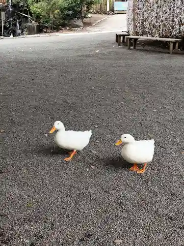 平塚八幡宮(神奈川県)