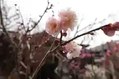 菅原天満宮（菅原神社）の自然