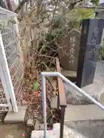 猿田彦大神(神奈川県)