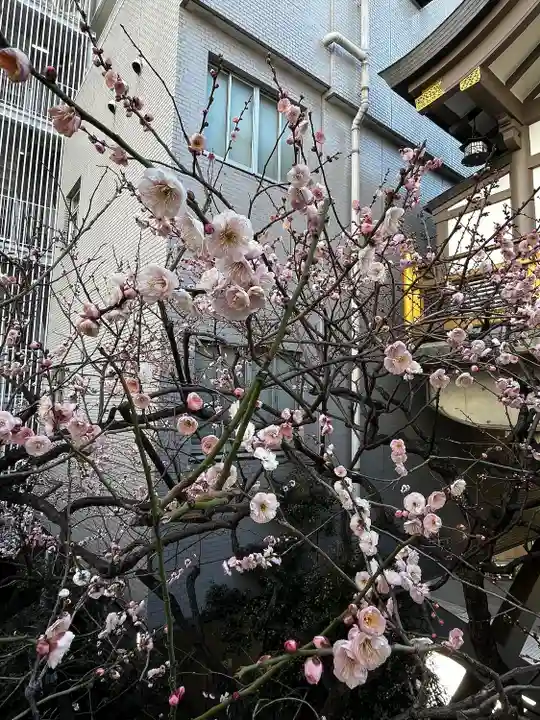 湯島天満宮(東京都)