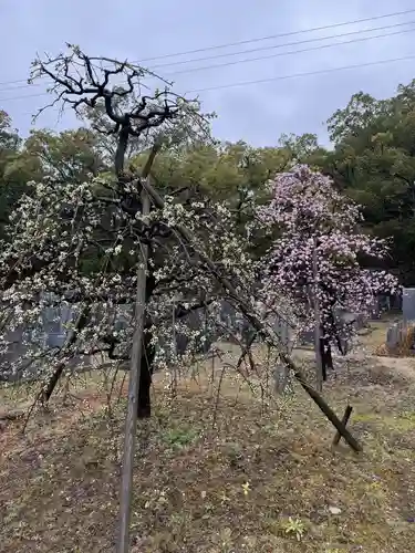 伊勢の国 四天王寺(三重県)