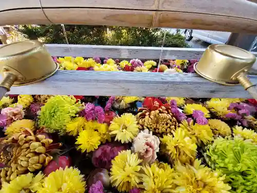 豊景神社の手水