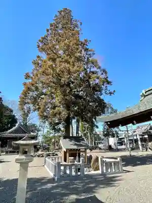 鈴休神社(滋賀県)