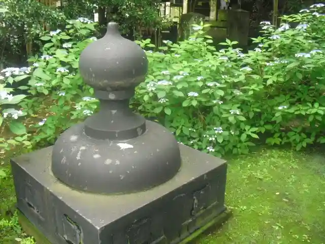 安國論寺(安国論寺)の塔