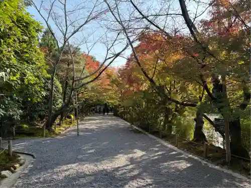 龍安寺(京都府)