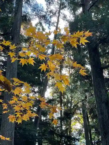 石道寺(滋賀県)