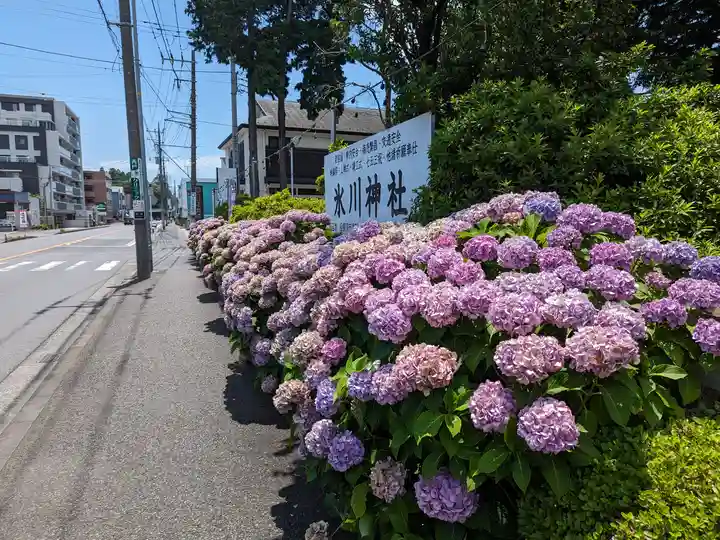 相模原氷川神社(神奈川県)