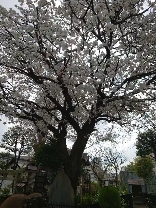 白山神社の自然