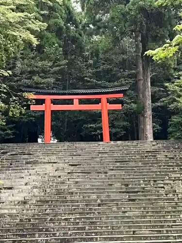 霧島神宮(鹿児島県)