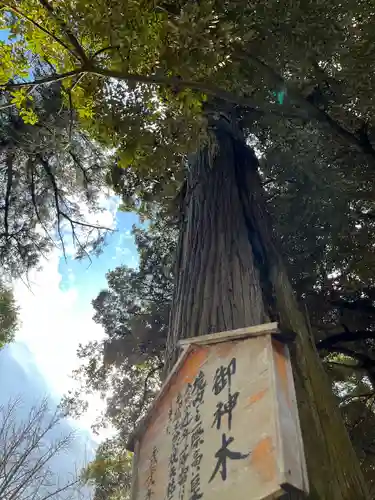 間々田八幡宮のその他建物