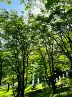 土津神社|こどもと出世の神さまの自然