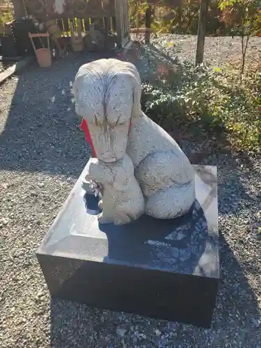 金藏院（聖法寺）の狛犬