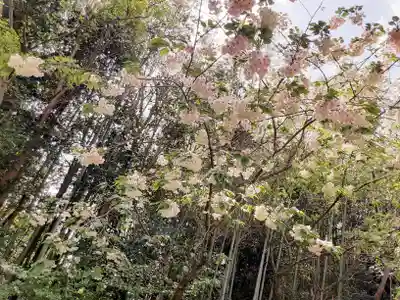 白笹稲荷神社(神奈川県)