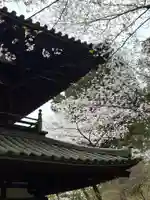龍潭寺(静岡県)
