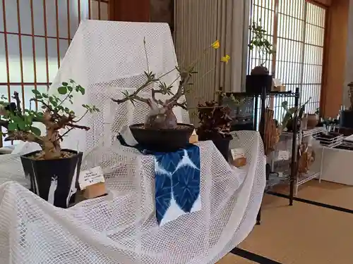 白狐山光星寺(山形県)