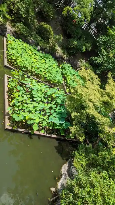大谷本廟(京都府)