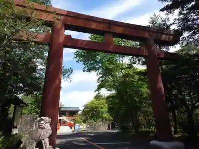 宮城縣護國神社の鳥居