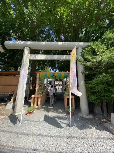 札幌諏訪神社の鳥居