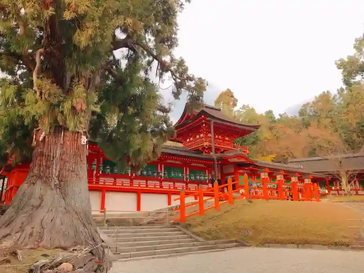 春日大社(奈良県)