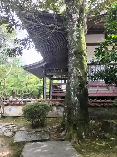 大寧寺の建物その他