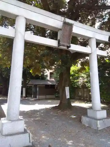 杵築大社の鳥居