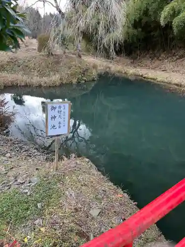 坪沼八幡神社の庭園